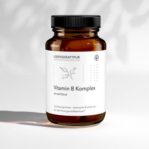 Produkte 166 Lebenskraftpur Vitamin B Komplex Kapseln