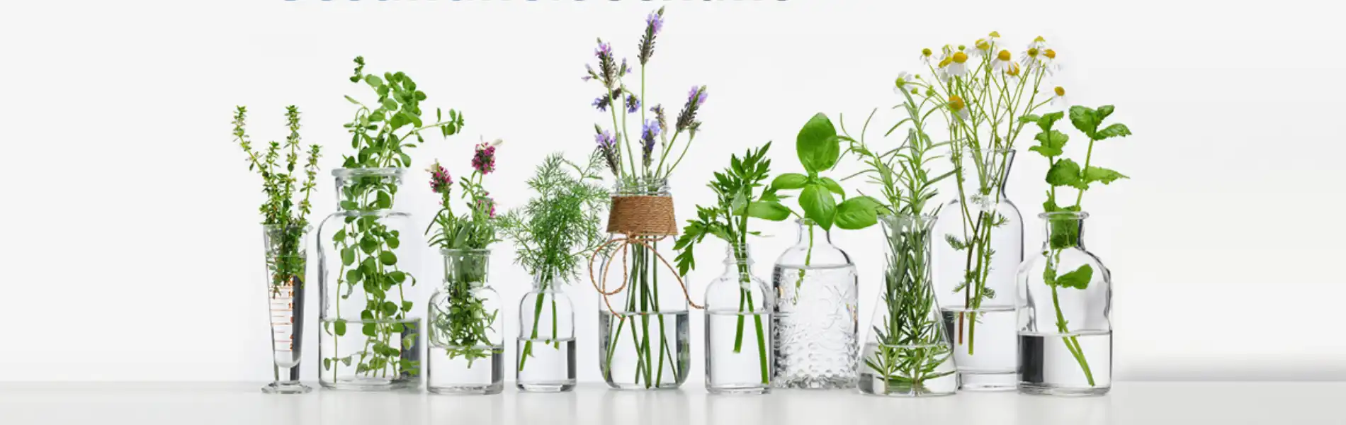 natugena